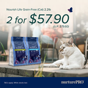 Cat Dry Food Online, Buy Cheap Cat Food Singapore- Petfolio