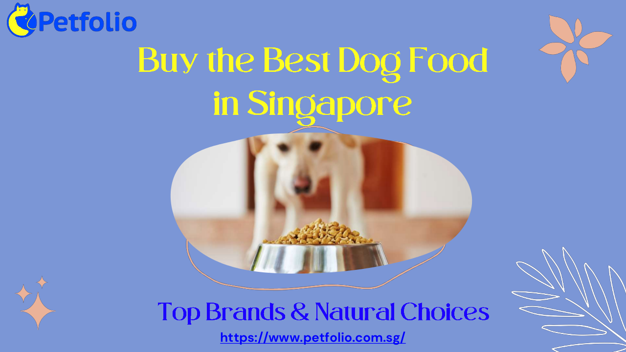 Buy the Best Dog Food in Singapore